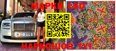 бошки Бердск