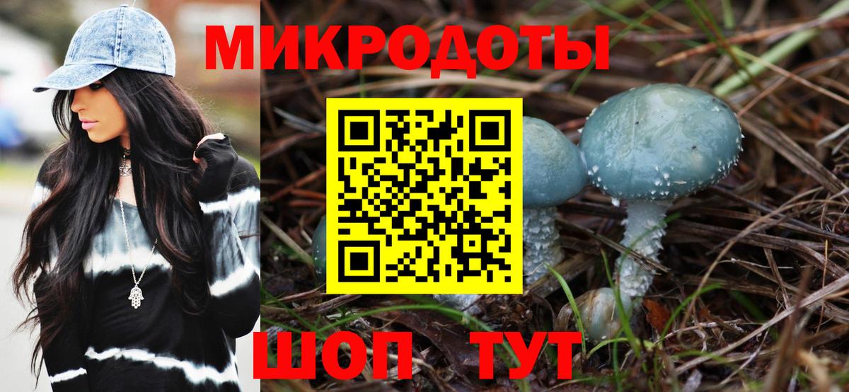 Галлюциногенные грибы Psilocybine cubensis Мелеуз