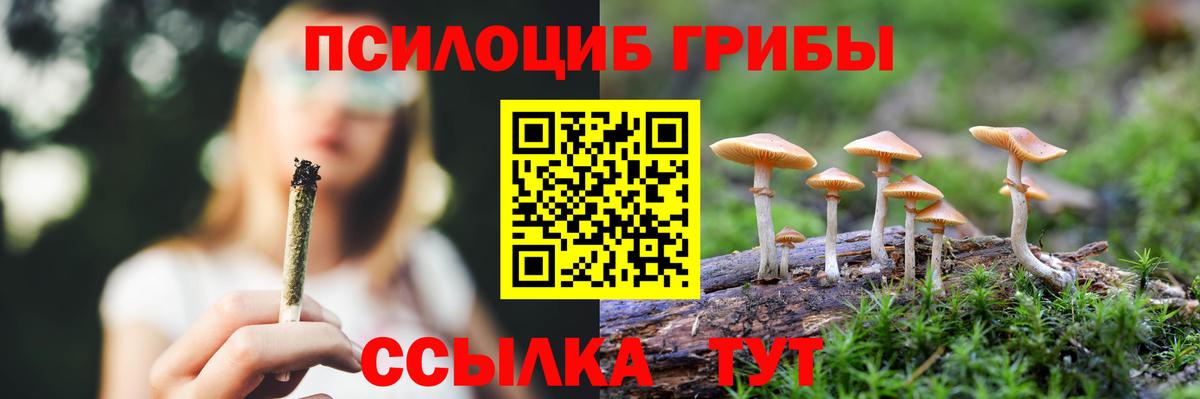 Мелеуз  Псилоцибиновые грибы Psilocybine cubensis  Вход с VPN 